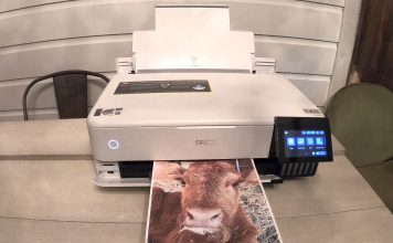 epson ecojet printing on plain paper