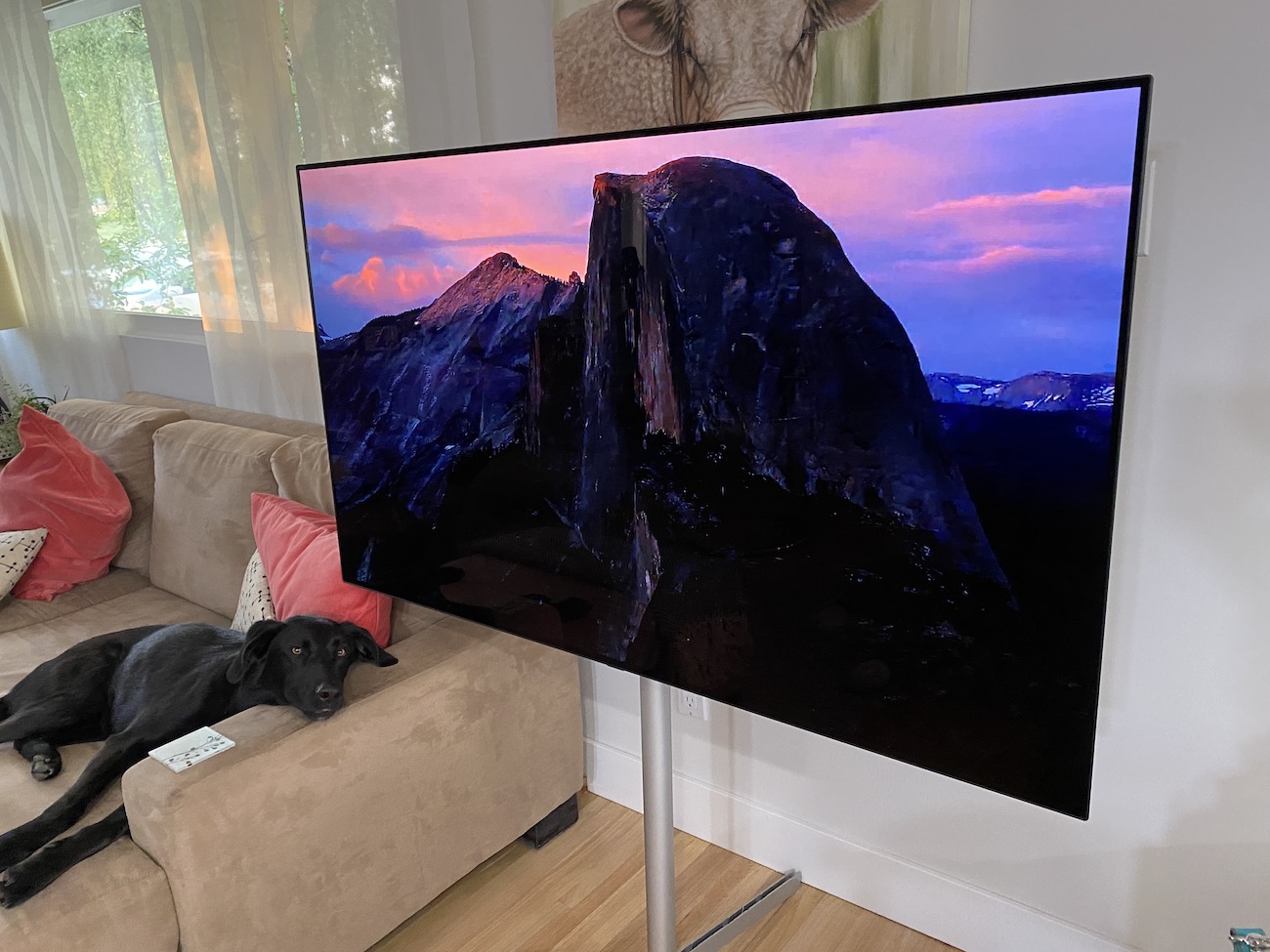 LG C1 4K OLED smart TV review | Best Buy Blog