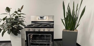 Insignia Gas Convection range review