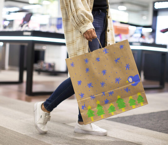 Best Buy Holiday paper bag 2022