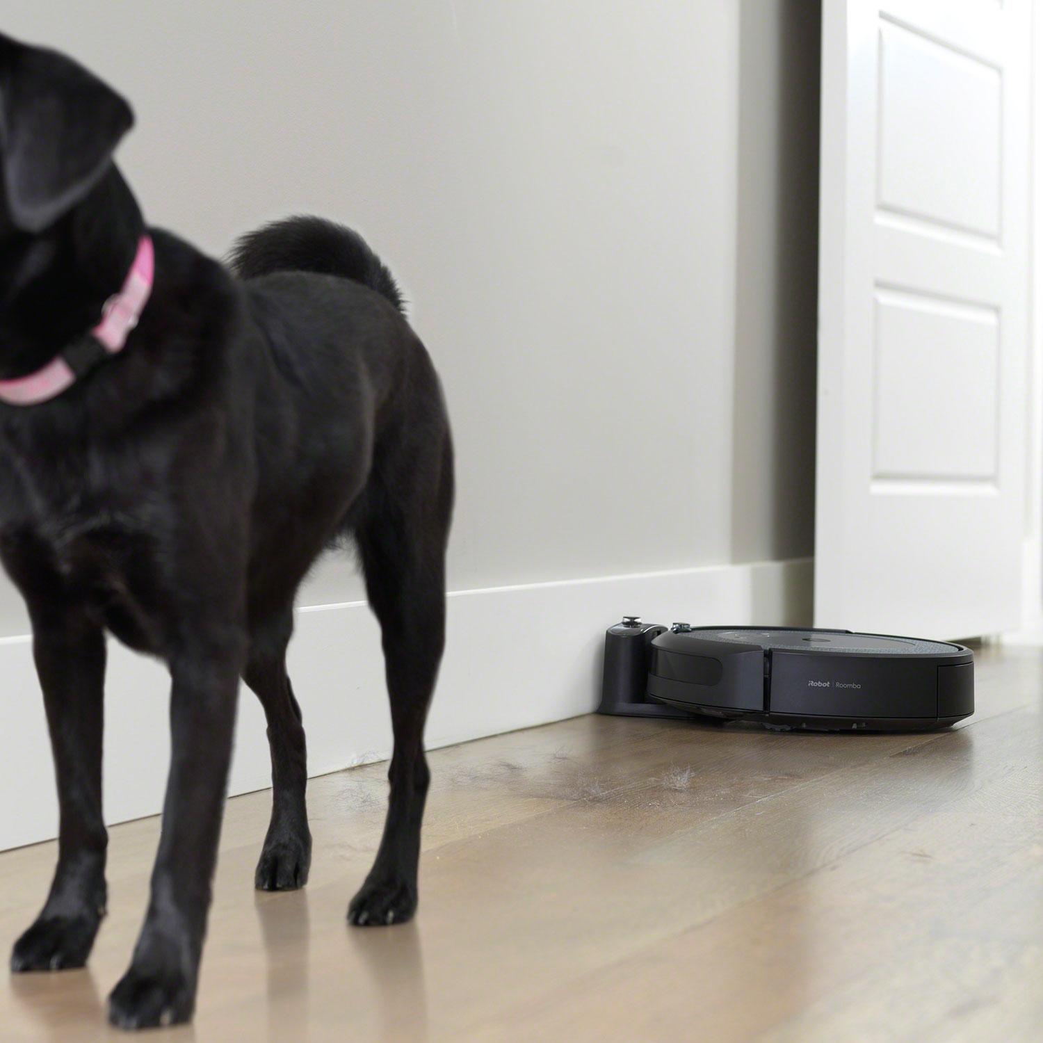 Choosing a robot vacuum in a home with pets