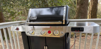 Weber EPX-335 Review