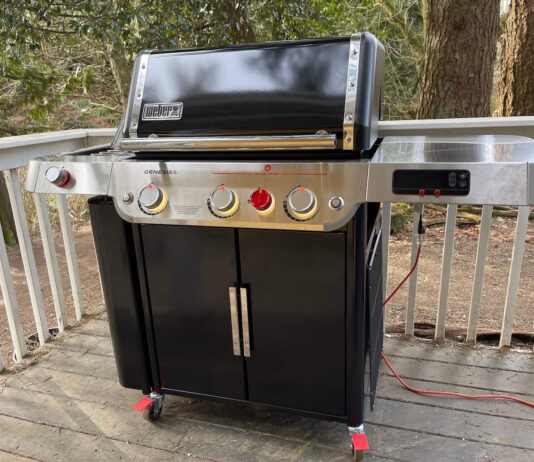 Weber EPX-335 Review