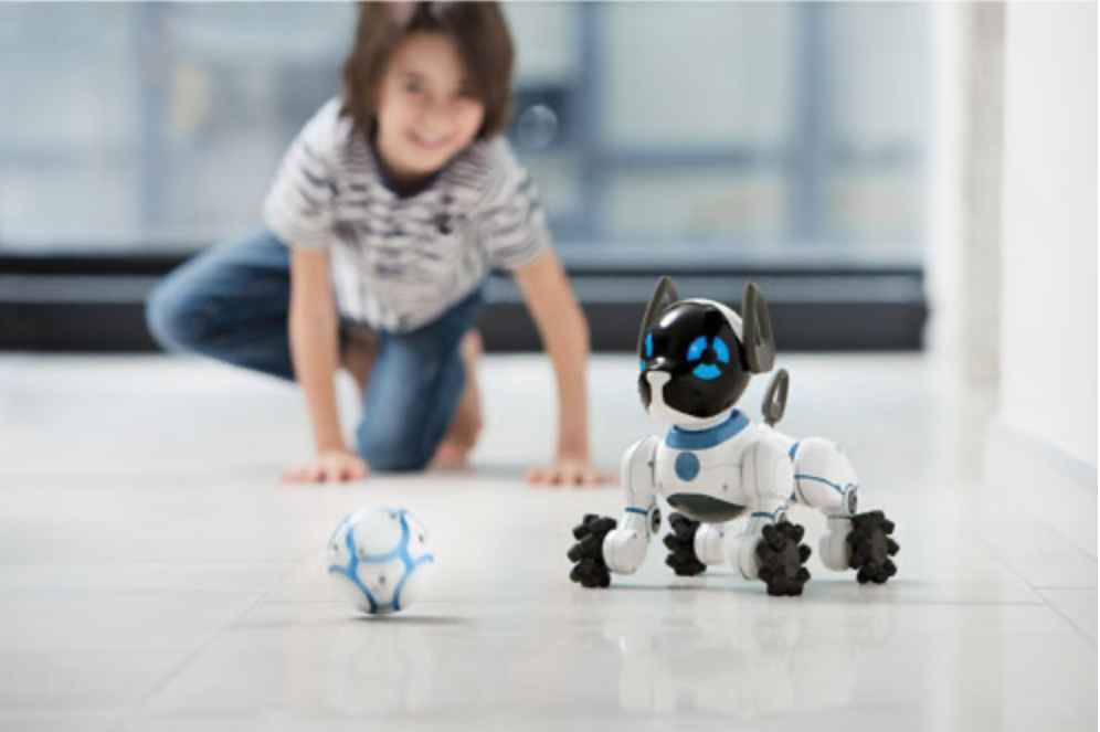 Boy with smart robot dog toy