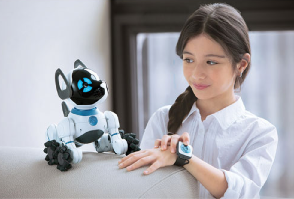 Girl with a robot dog coding toy