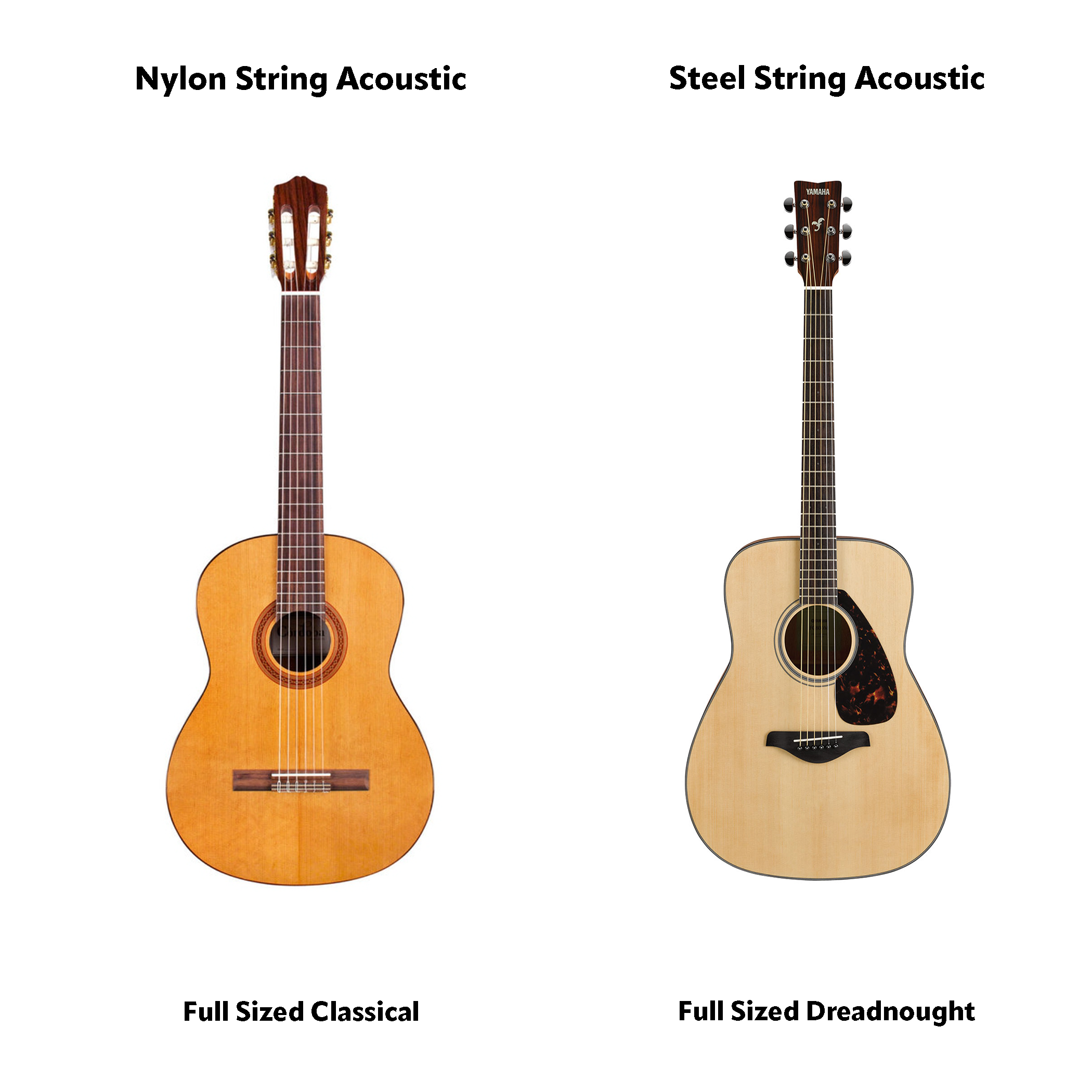 Folk and classical acoustic guitars for beginners