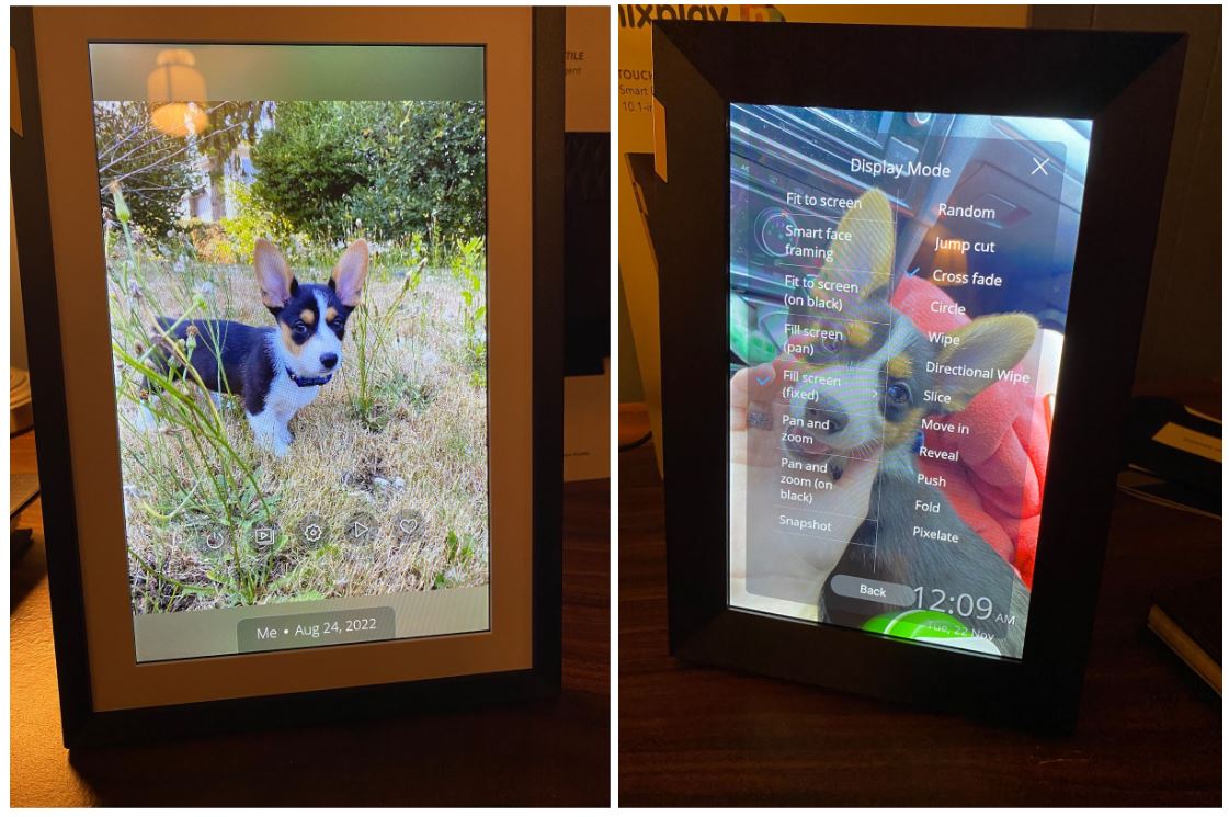 Обе сенсорные смарт-рамки Nixplay 10 расположены рядом друг с другом, чтобы продемонстрировать элементы управления сенсорным экраном над фотографиями собаки.