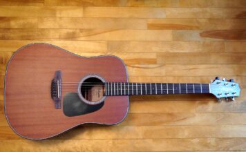 Takamine GD11M-NS