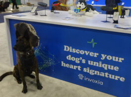 Invoxia smart dog collar