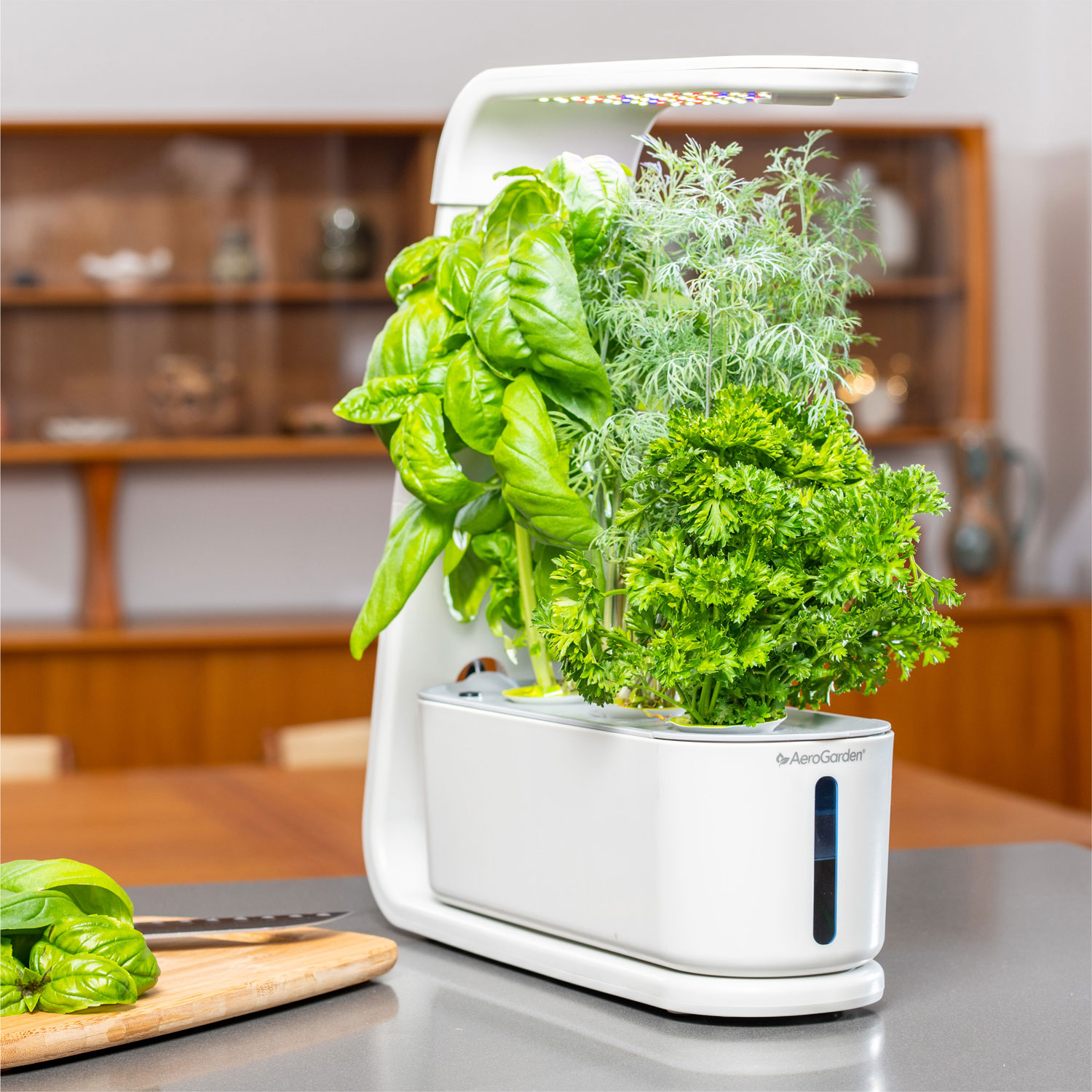 Indoor Smart Garden