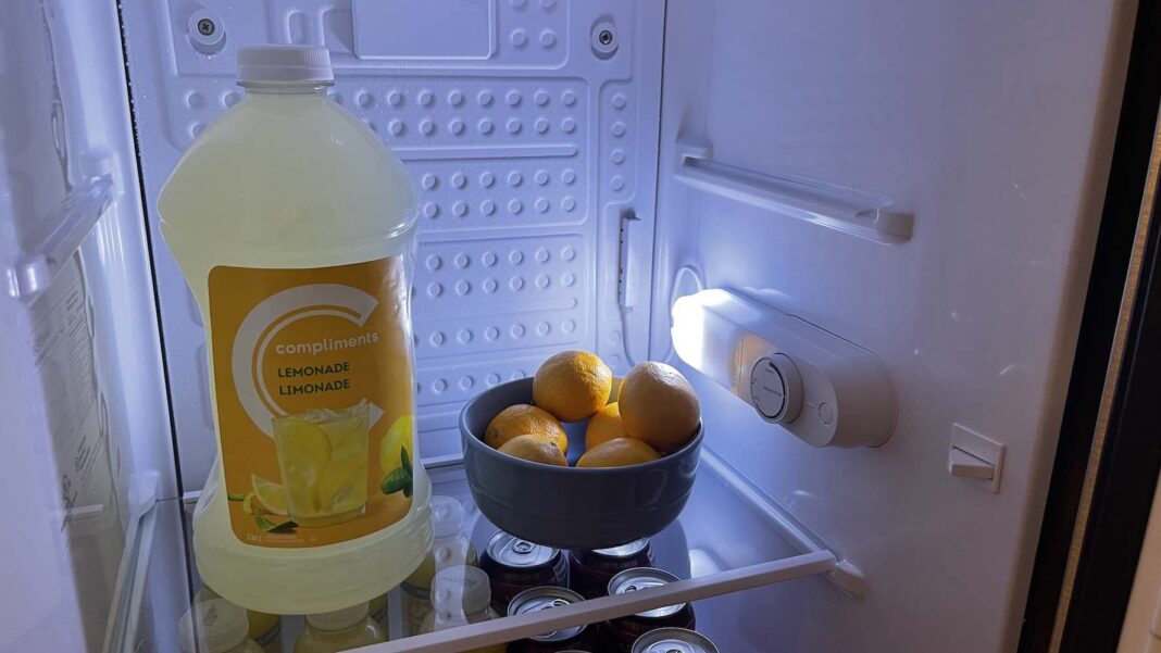 Insignia freestanding compact refrigerator review Best Buy Blog