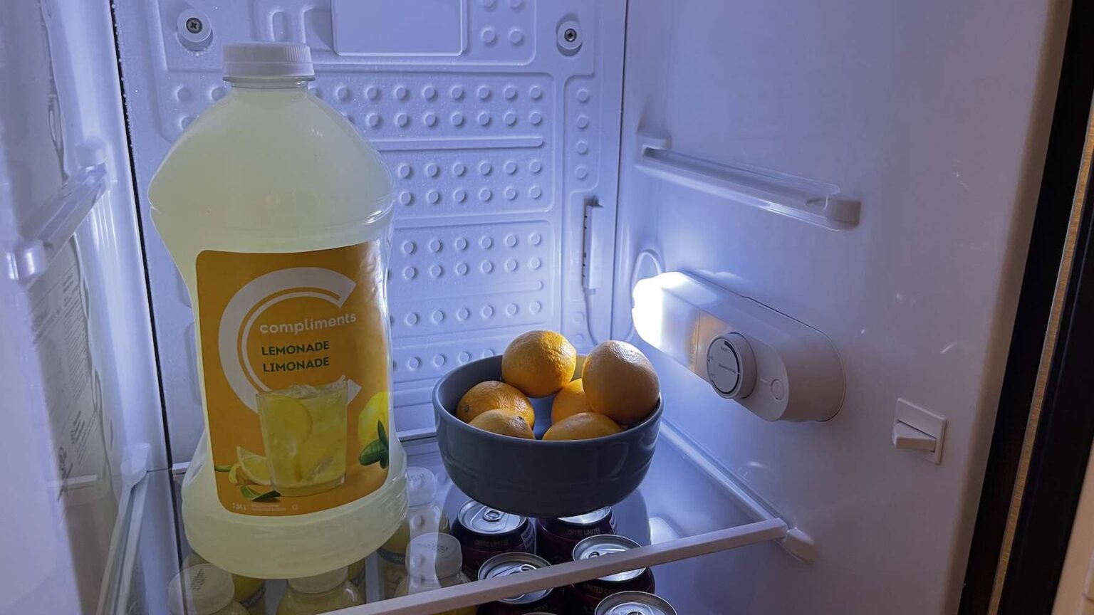 Insignia freestanding compact refrigerator review Best Buy Blog