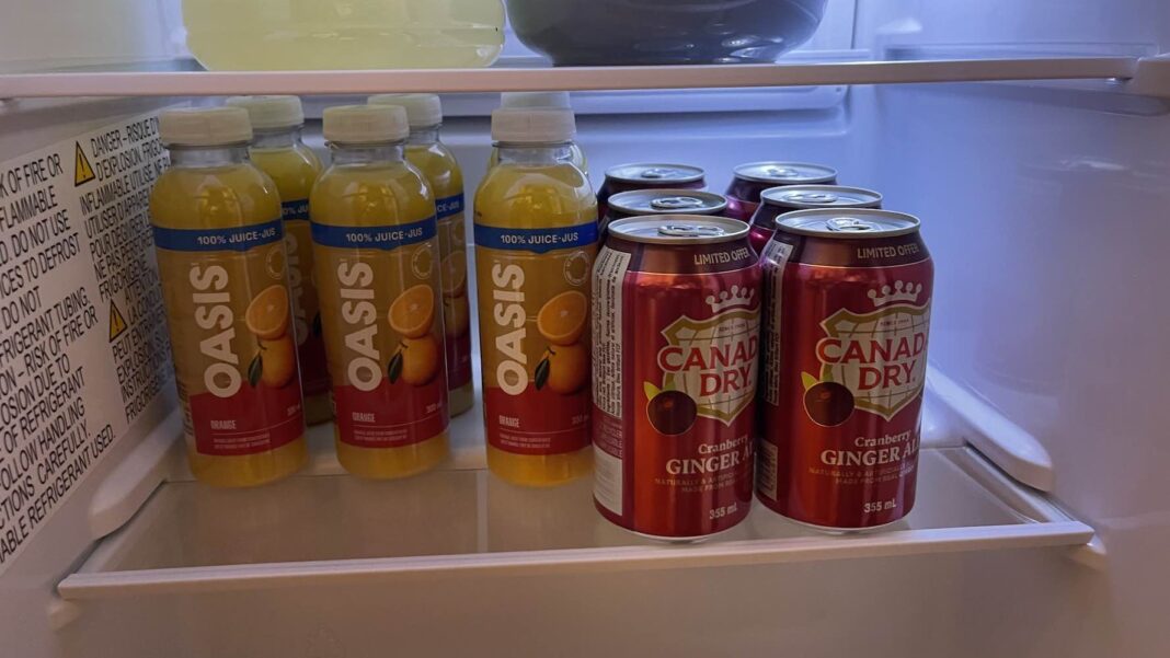 Insignia freestanding compact refrigerator review Best Buy Blog