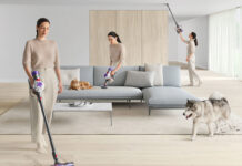 Dyson v8 animal cordless stick vacuum pets