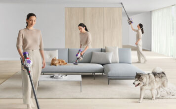 Dyson v8 animal cordless stick vacuum pets