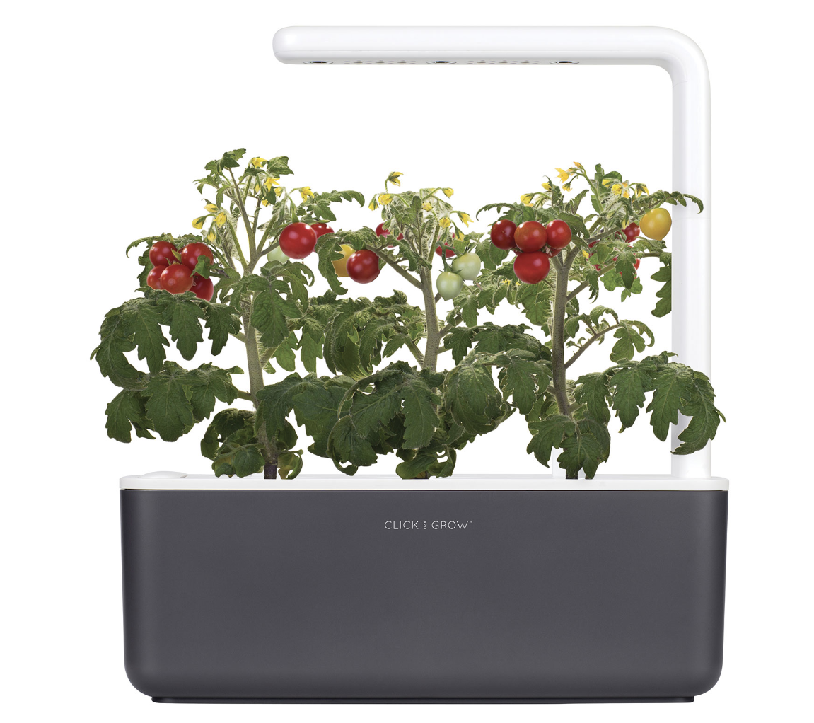 Click and Grow garden with tomatoes