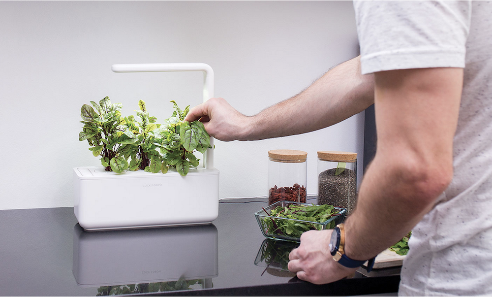 Indoor Hydroponic Garden: How to Grow Your Own Lettuce in Canada | Best ...