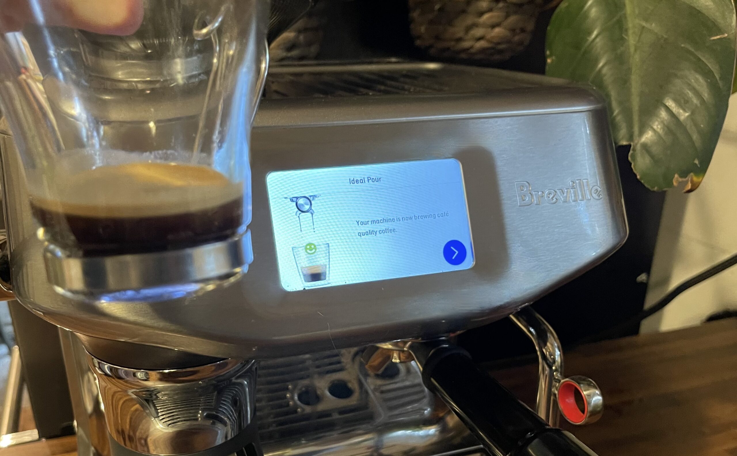 ideal brew time Breville Oracle Plus