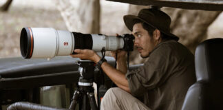 Man shooting with Sony Alpha 1 II outdoors in wildlife.