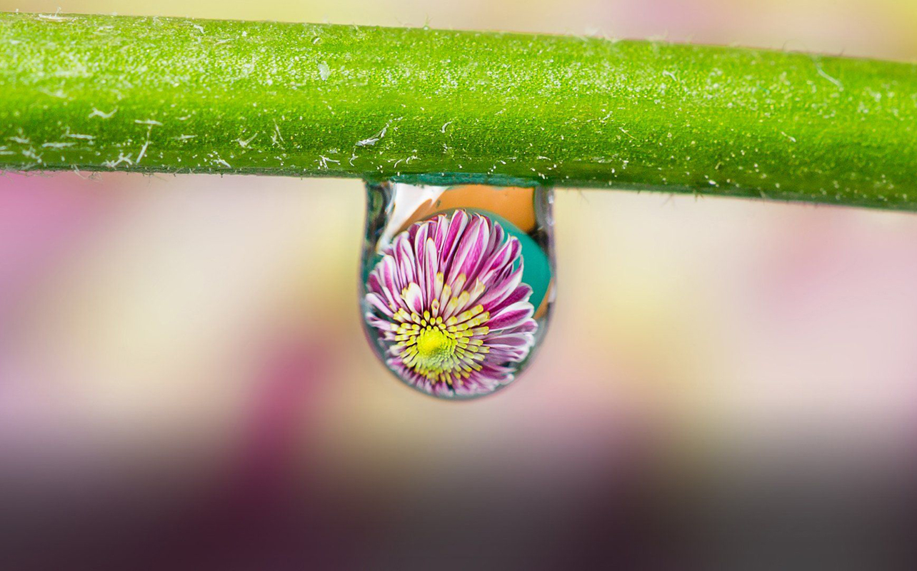 Macro photo showing water drop with refractive effect.
