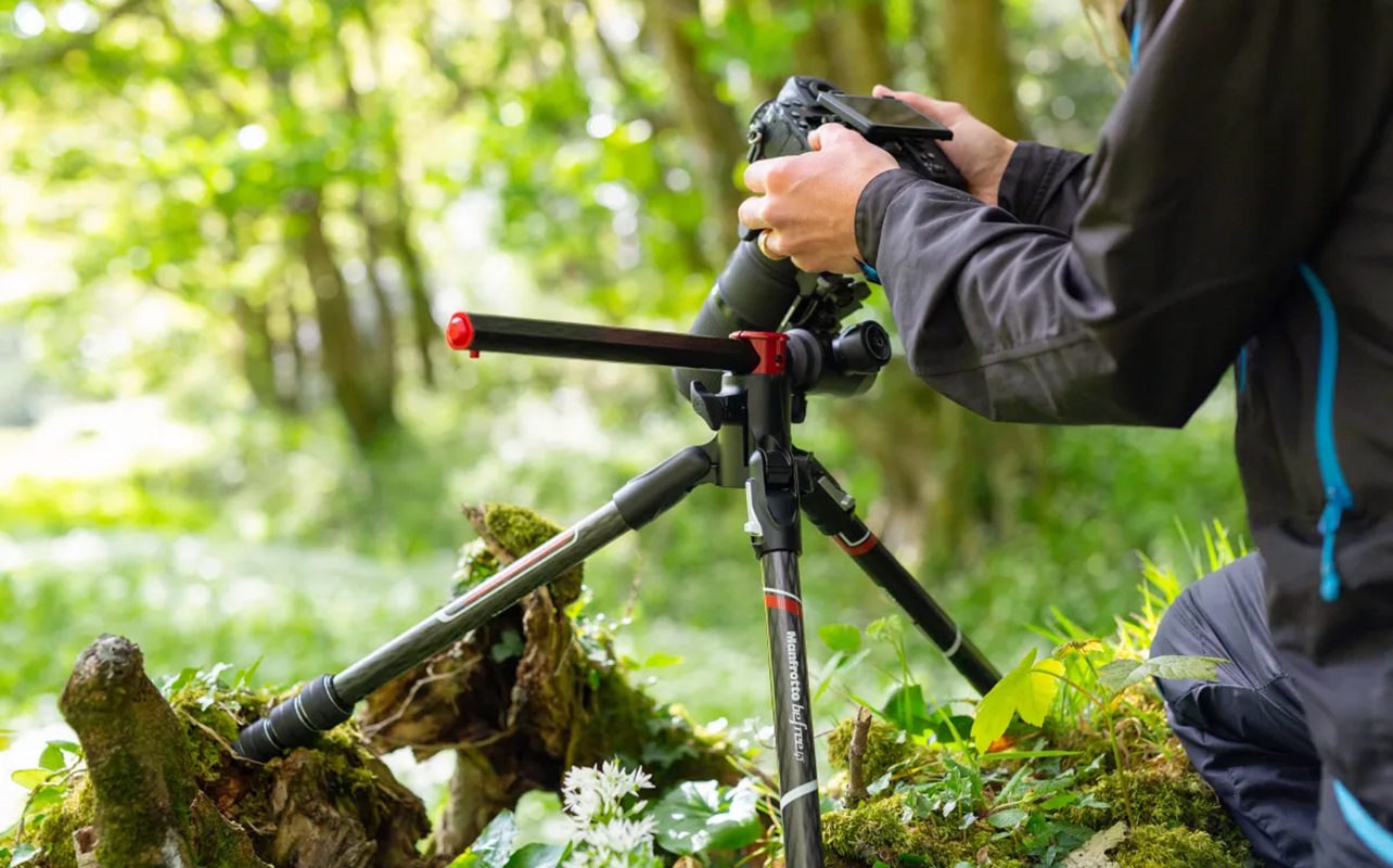 Man taking macro photo with camera mounted on tripod.