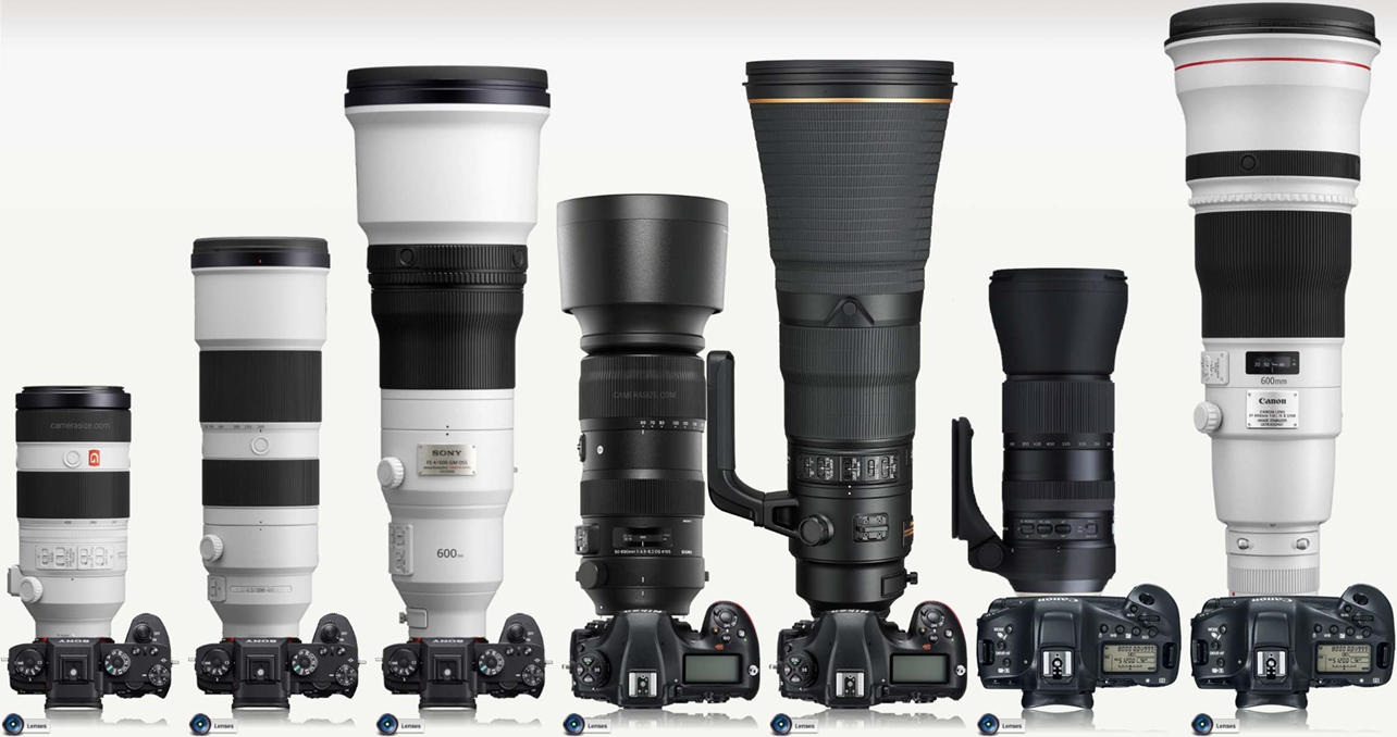 Lineup of different telephoto lenses attached to camera bodies.