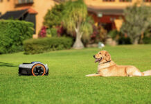 A dog sitting across from a Segway Navimow robot lawn mower on a lush, green lawn.