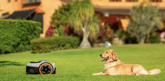 A dog sitting across from a Segway Navimow robot lawn mower on a lush, green lawn.