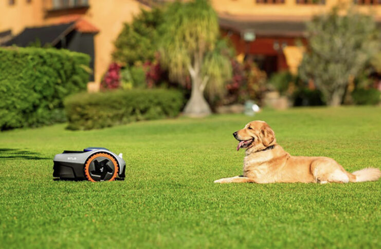 A dog sitting across from a Segway Navimow robot lawn mower on a lush, green lawn.