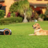 A dog sitting across from a Segway Navimow robot lawn mower on a lush, green lawn.