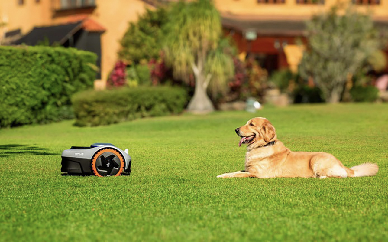 A dog sitting across from a Segway Navimow robot lawn mower on a lush, green lawn.