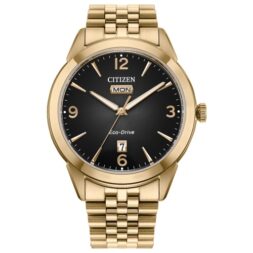 fathers day watch gift: Citizen Mens Rolan Eco-Drive Watch 40.5mm Gold-Tone Stainless Steel Case and Bracelet with Grey Dial (AW0152-58H)