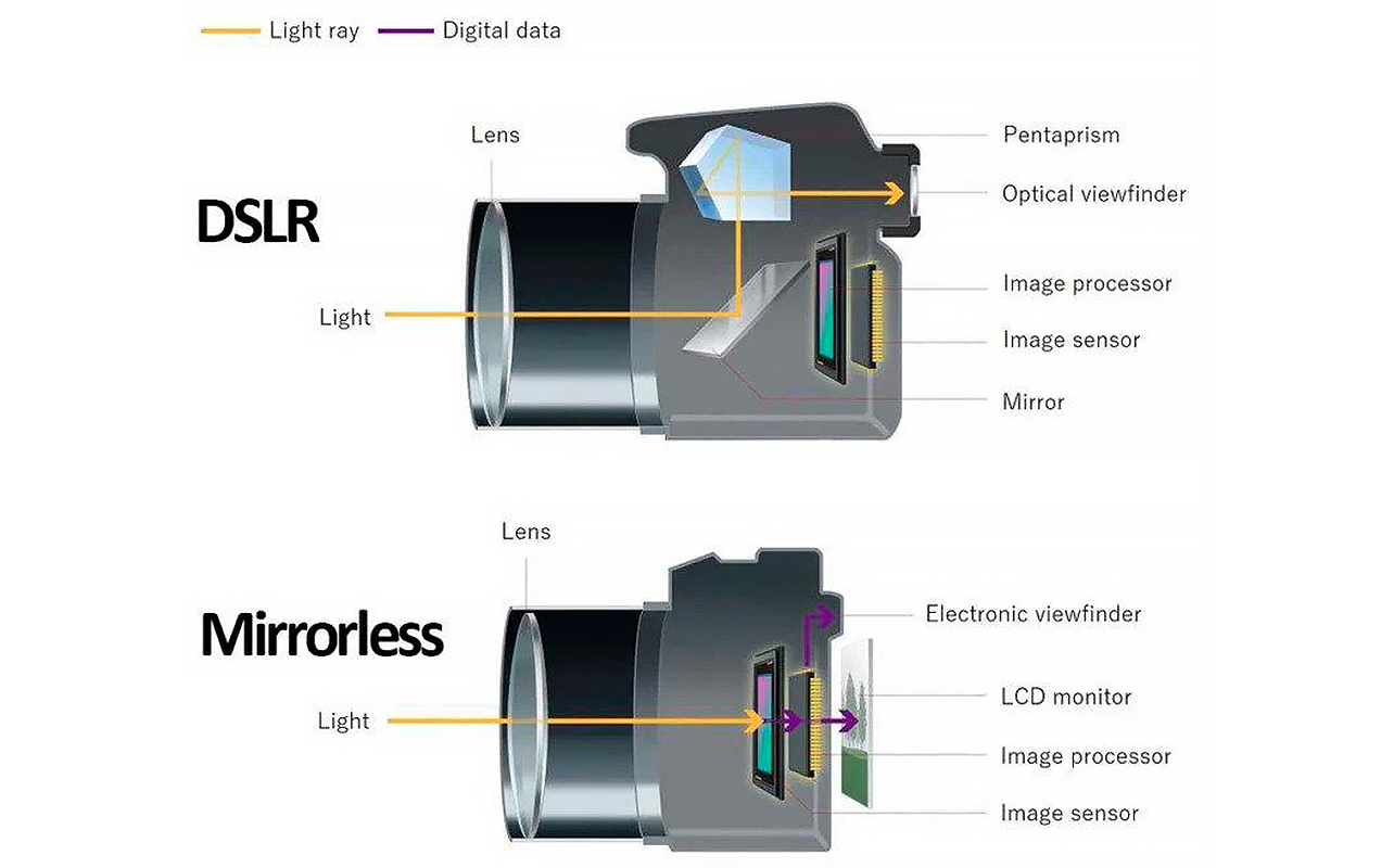 Diagram showing the mechanical differences between mirrorless and DSLR cameras.