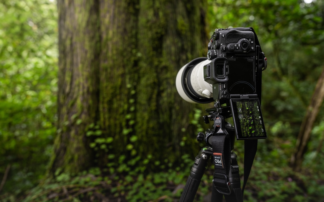 dslr camera guide