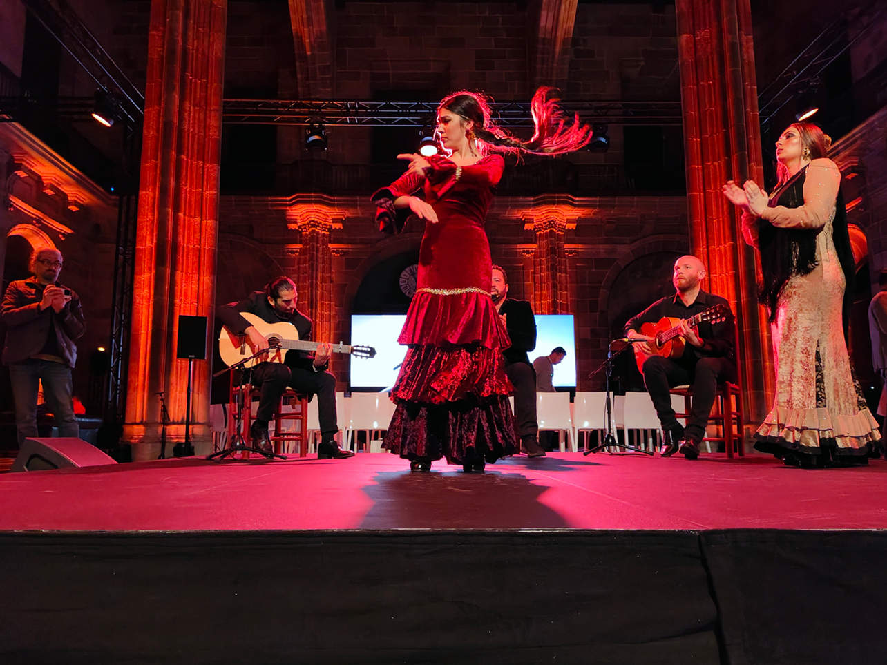 Example photo showing flamenco dancer backlit with red light.