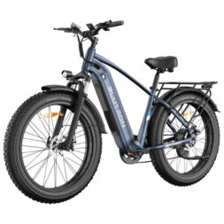 Blutron EB880 Electric Fat Tire Bike