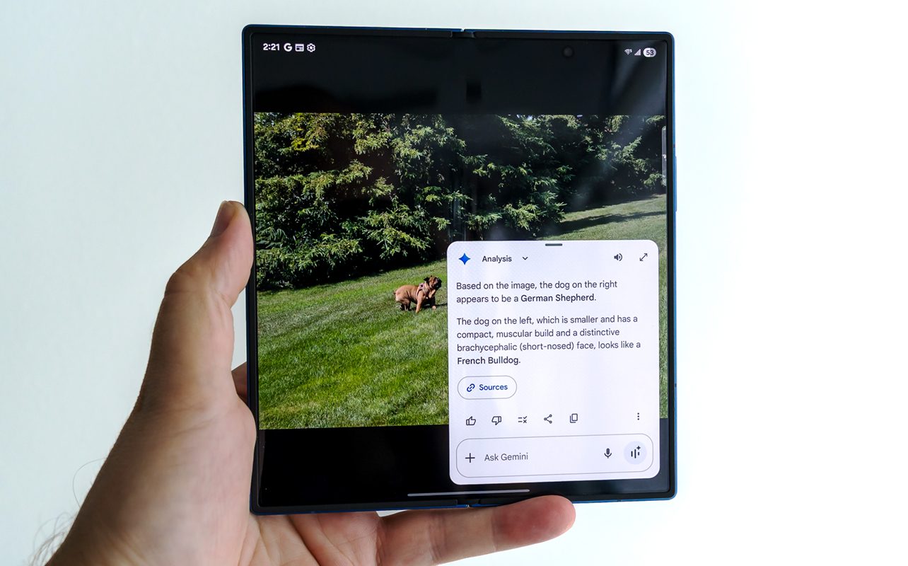Samsung Galaxy Z Fold7 showing Gemini helping describe two dog breeds in a photo.