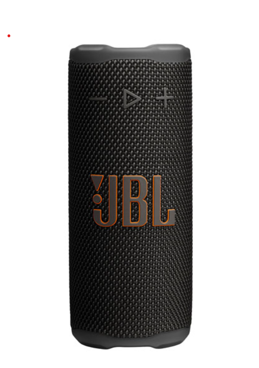 Portable Grip Speaker from JBL 