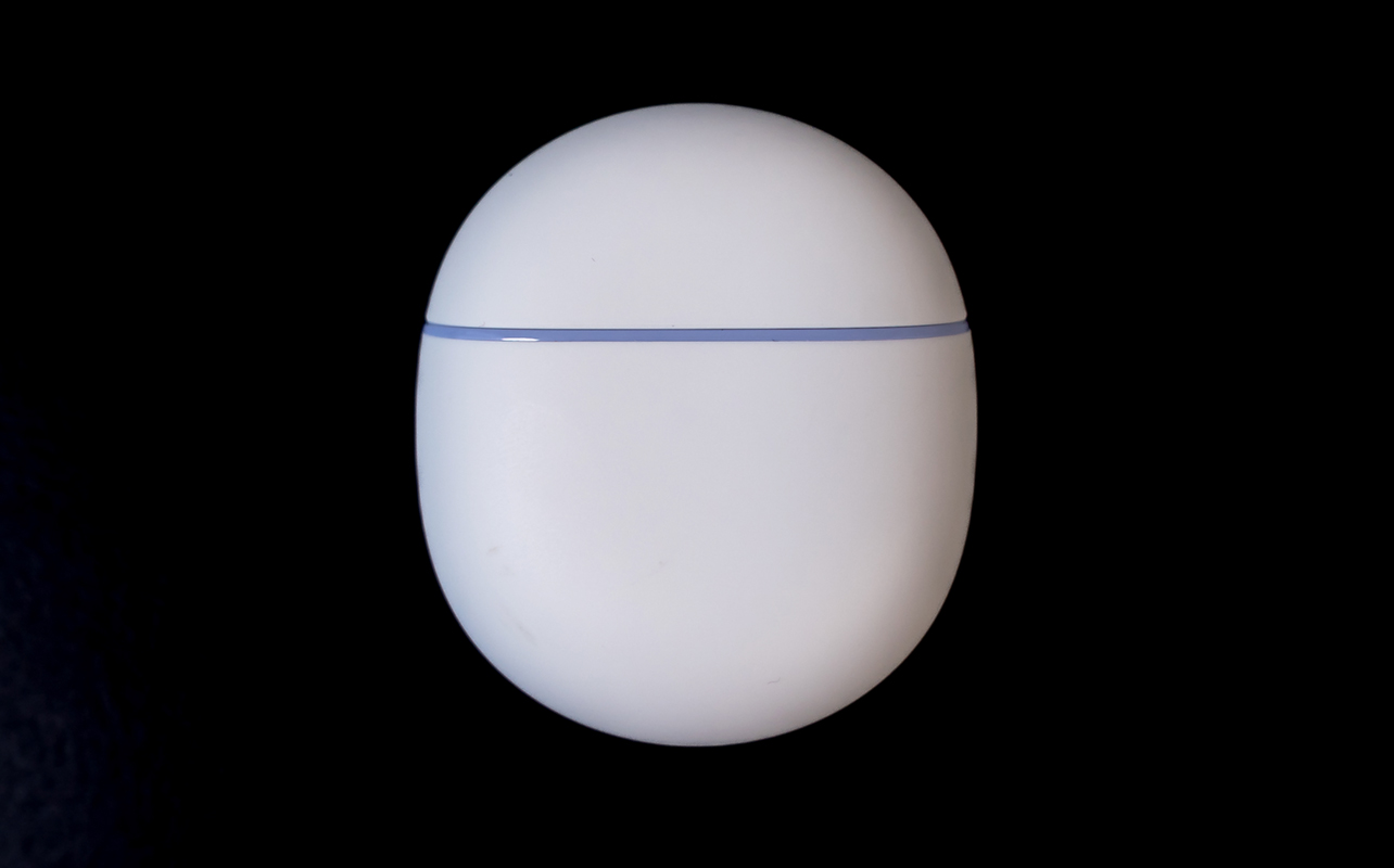 Google Pixel Buds 2a case.