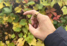 Oura Ring 4 on a hand in front of changing Fall leaves.