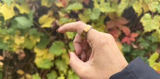 Oura Ring 4 on a hand in front of changing Fall leaves.