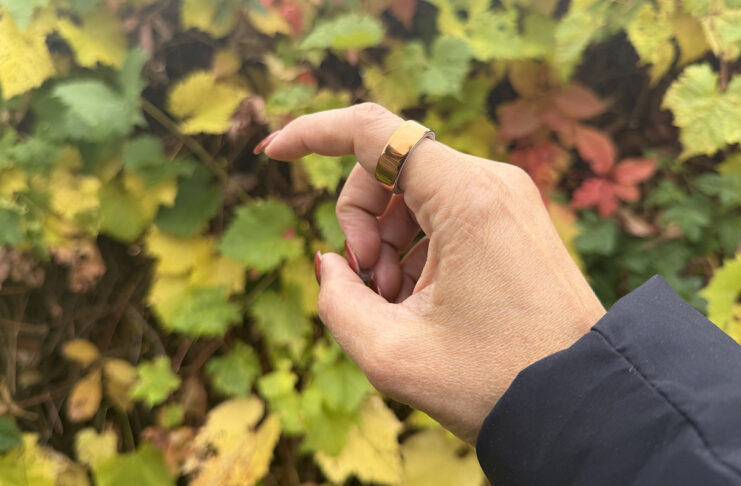 Oura Ring 4 vs Oura Ring Gen 3: What’s the difference and should you upgrade? Oura Ring 4 on a hand in front of changing Fall leaves.