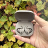Powerfits Fit earbuds in case open in front of Fall leaves.