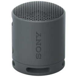 Sony SRS-XB100 portable wireless speaker
