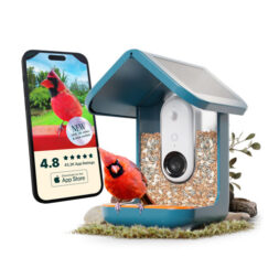 Bird Buddy Pro Solar Smart Bird Feeder with Cam + Perch Extender