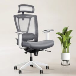 ErgoChair Executive Home Office Desk Chair with Lumbar Support