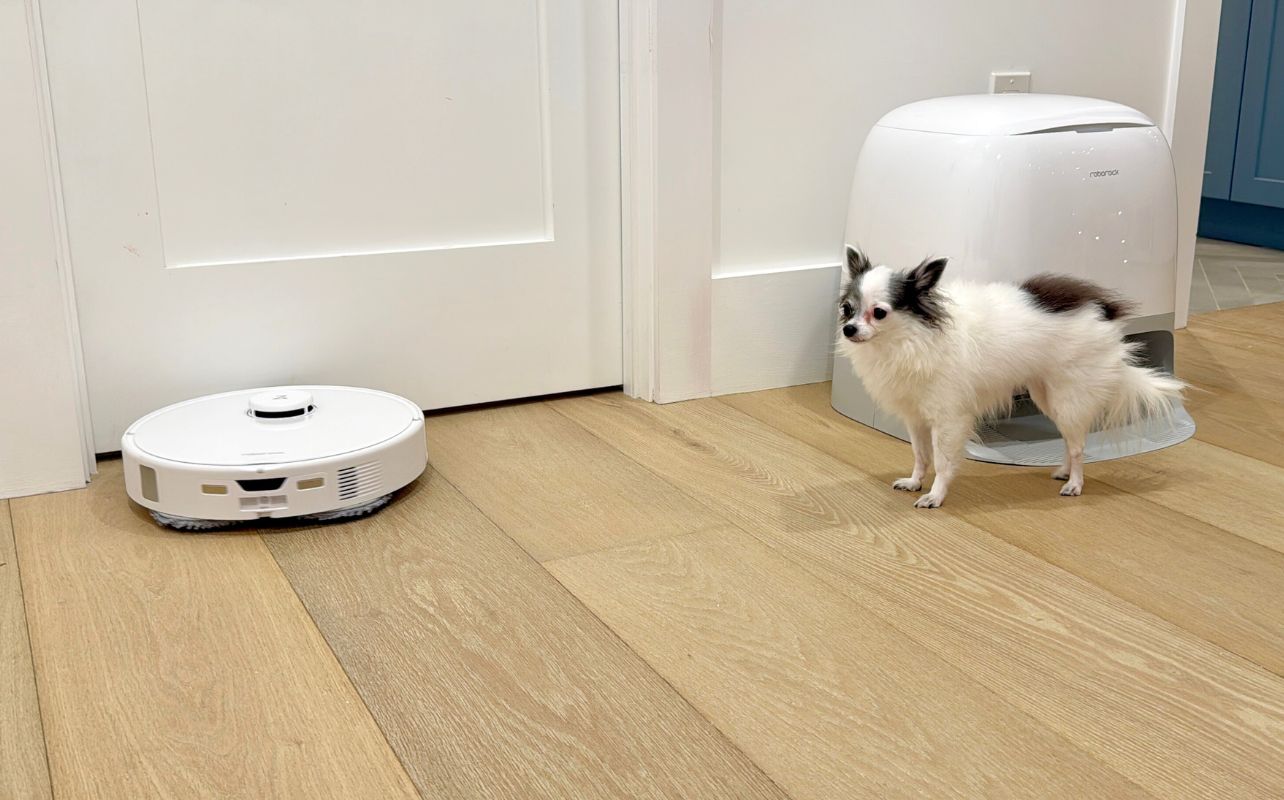 The Roborock Qrevo Curv Robot Vacuum next to a small black and white long haired dog.