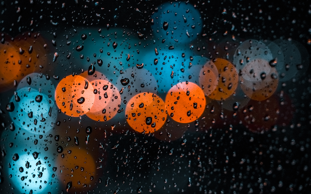 Photo taken with Sony A7 V.