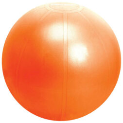 ballon d’exercice d’Iron Body Fitness