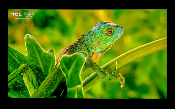 CES 2026: TCL focuses on colour with new RGB TVs TCL X11L SQD Mini-LED TV with iguana onscreen.